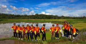 Sawah Mempesona (Pic: Yusfian)